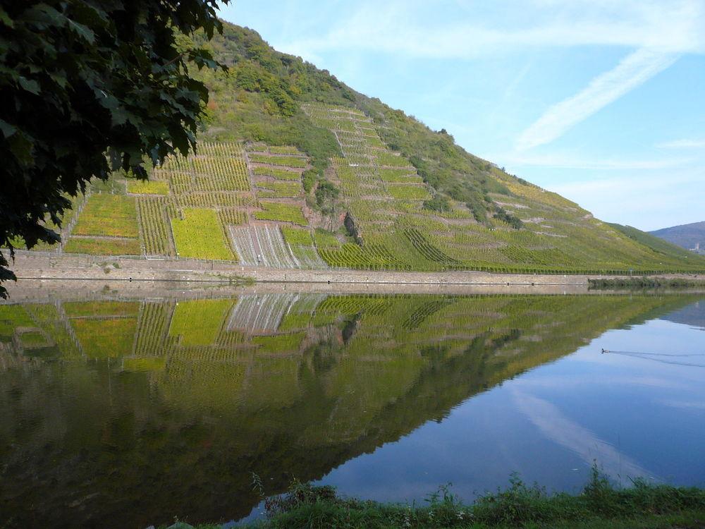 Mosel-Landhaus Am Moselufer B&B Briedern Esterno foto