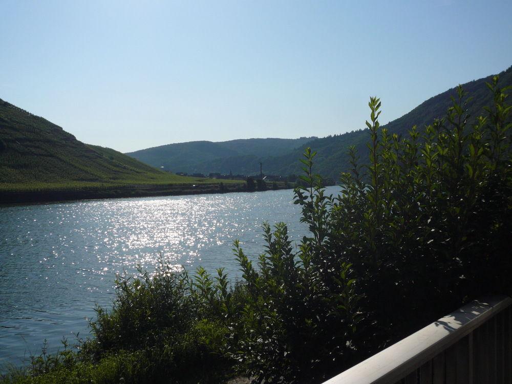 Mosel-Landhaus Am Moselufer B&B Briedern Esterno foto